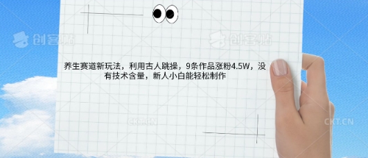 AI养生赛道新玩法，10条作品涨粉5.2W，操作简单，新人小白能轻松制作-轻创终点站